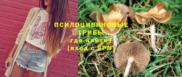 амф Алзамай
