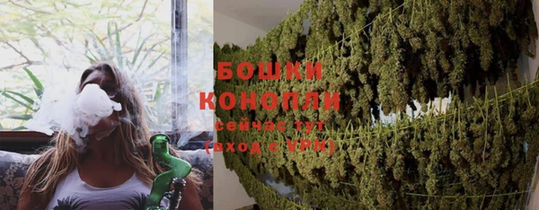 кристаллы Бикин