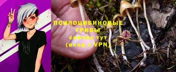 амф Алзамай