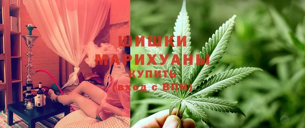 амф Алзамай